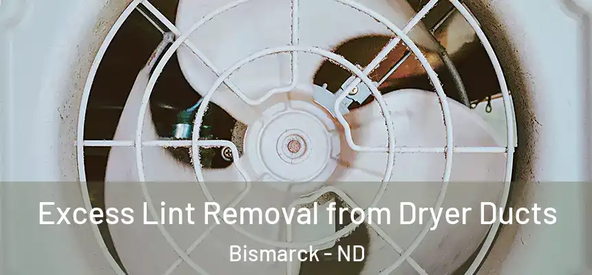  Excess Lint Removal from Dryer Ducts Bismarck - ND