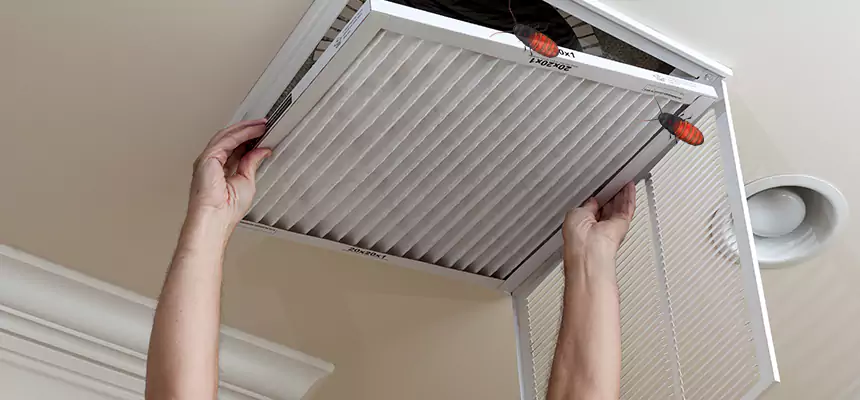 Preventive Cockroach-Proofing for Ducts in Bismarck