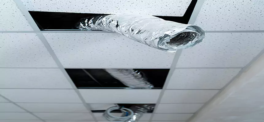 Our Air Duct Pet Hair Removal Services in Bismarck, ND