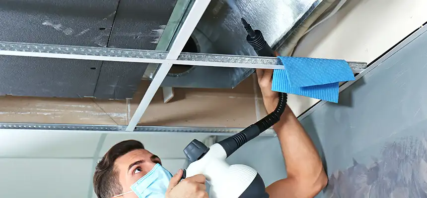 Our Air Duct Rodent Removal Services in Bismarck, ND
