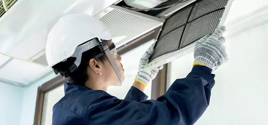 Our Mold & Mildew Removal from Air Ducts Services in Bismarck, ND