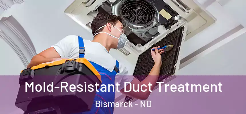  Mold-Resistant Duct Treatment Bismarck - ND
