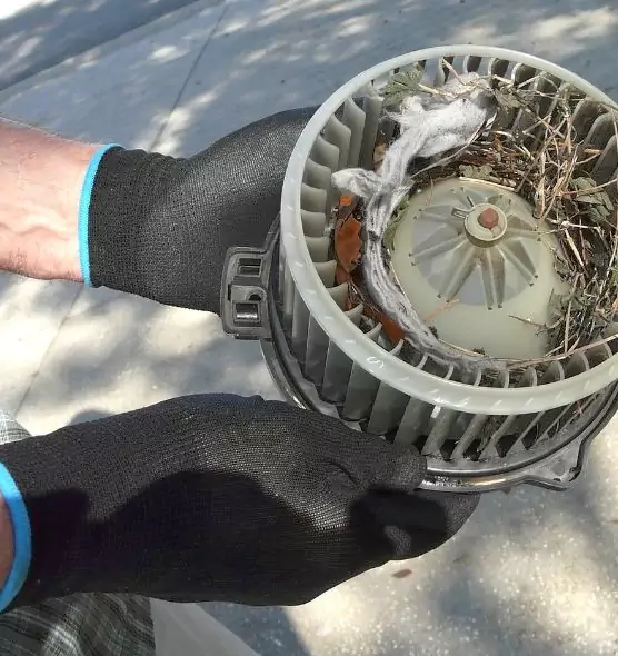 About Air Duct Mice Removal in Bismarck, ND