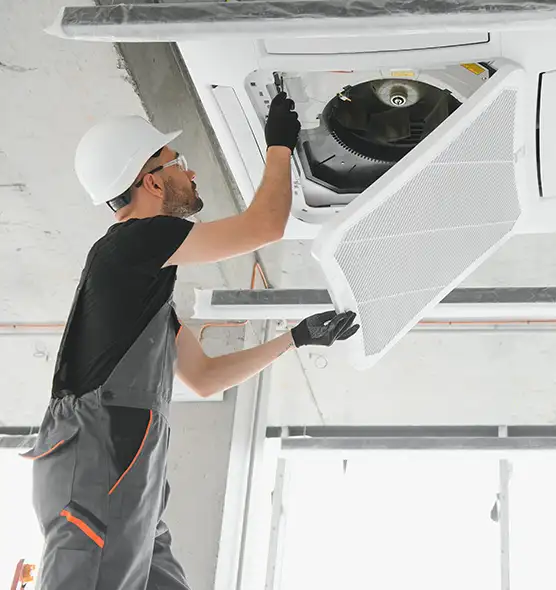 About Air Duct Rodent Removal in Bismarck, ND