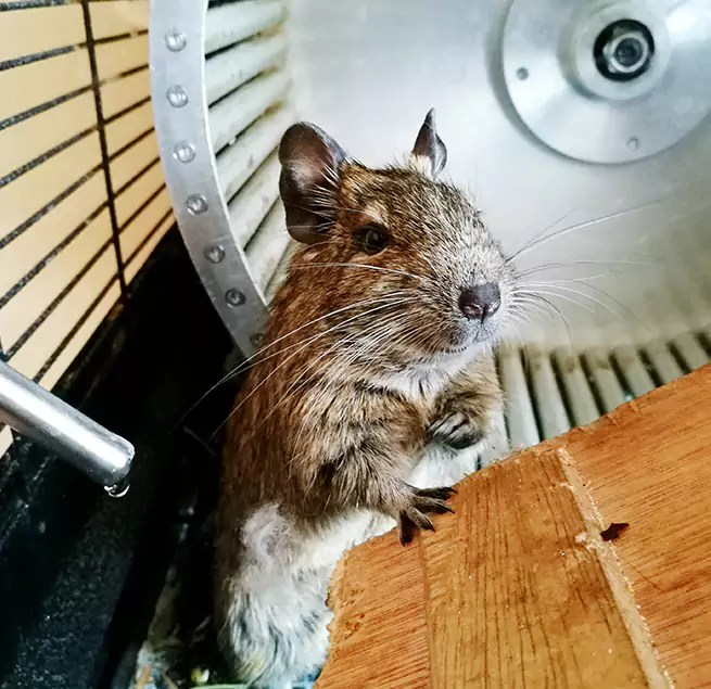 Why Homeowners & Businesses Trust Us Bismarck, ND